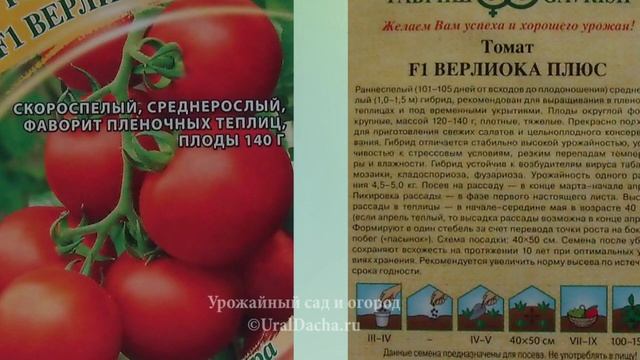 Почему среднерослые томаты лучше высокорослых, какие у них преимущества.mp4 смотреть онлайн