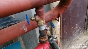 Что посадить в теплицу сразу после тюльпанов.Доход круглый год??️?