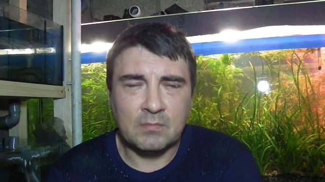 Диатомовые водоросли. Как бороться. смотреть онлайн