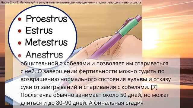 Как определить готовность суки к вязке смотреть онлайн