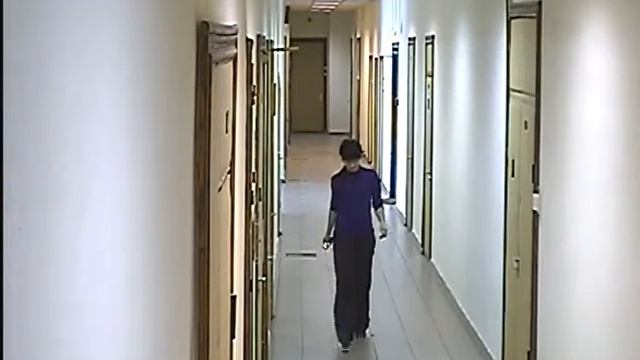 Тестовая запись цветной видеокамеры IVR смотреть онлайн