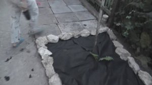 Альпийская горка своими руками