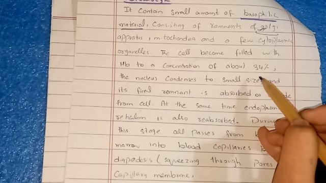 Genesis of Rbcs (blood physiology) смотреть онлайн