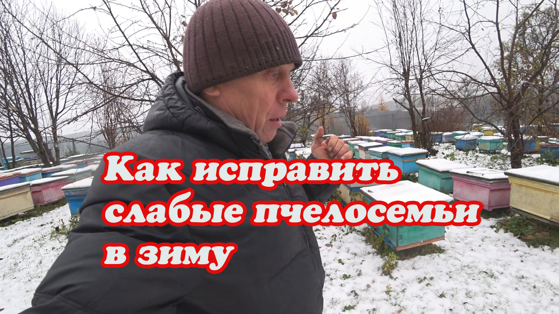 СЛАБЫЕ ПЧЕЛОСЕМЬИ В ЗИМУ, КАК ПРАВИЛЬНО И БЫСТРО ПОДСИЛИТЬ ОТ СИЛЬНЫХ смотреть онлайн