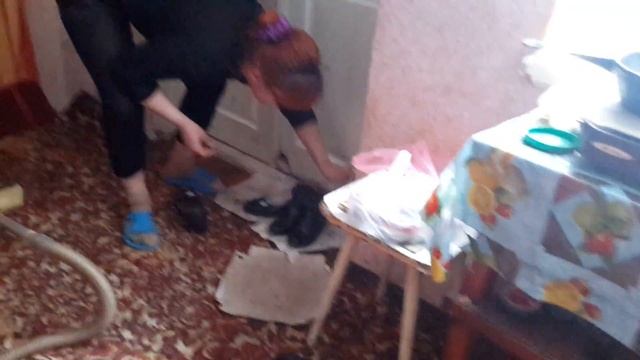 Кошка жуасно боится пылесоса смотреть онлайн