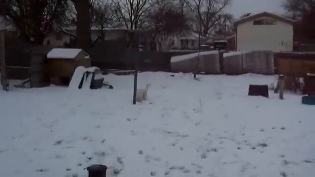 Vincent loves snow смотреть онлайн