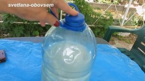 ДРОЖЖИ СУПЕР УДОБРЕНИЕ ДЛЯ КЛУБНИКИ   .ДЛЯ УРОЖАЙНОСТИ И РОСТА КЛУБНИКИ  .