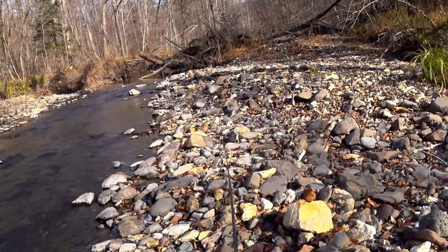 Ловили Рыбу МАЛЬМУ а Нашли Месторождение АГАТОВ. Рыбалка в тайге. смотреть онлайн
