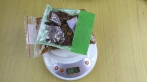 КАК сделать КОРМ для ДЖУНГАРСКОГО хомяка  СВОИМИ РУКАМИ / МЕШАНИНА для Кемпбелла / Alisa Easy Pets