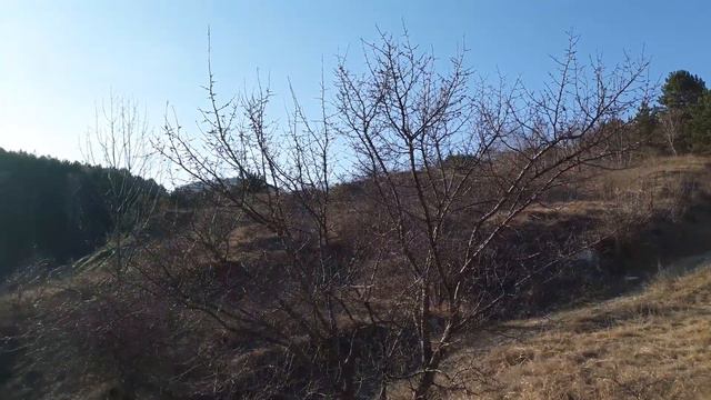 Кисловодск - КОНЬОН База Отдыха смотреть онлайн