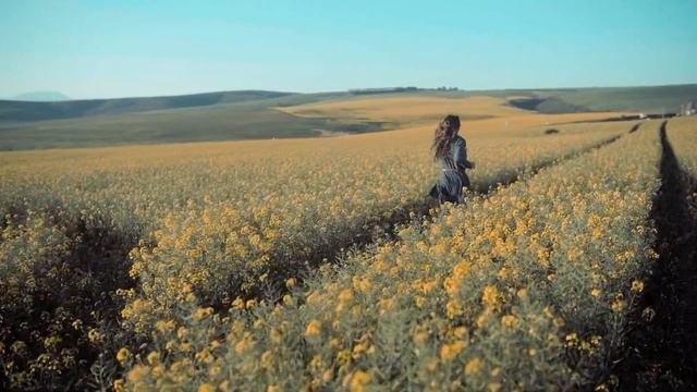 Изменение восприятия: эмоции и самооценка Переосмысление ЭМОЦИЙ: Почему нет негативных эмоций смотреть онлайн