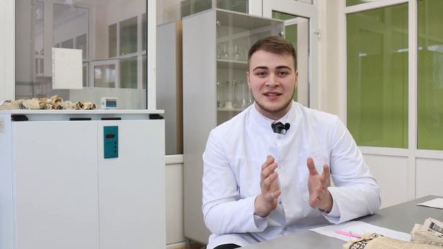 Выбор будущей профессии смотреть онлайн