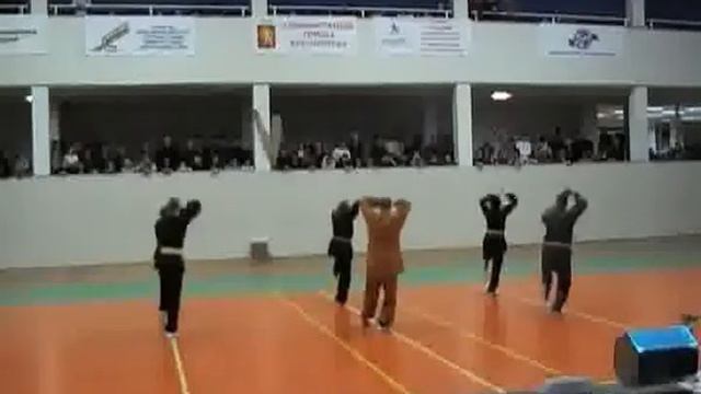 Кулак дракона Лун Цюань  Long Quan RTzRas Hive