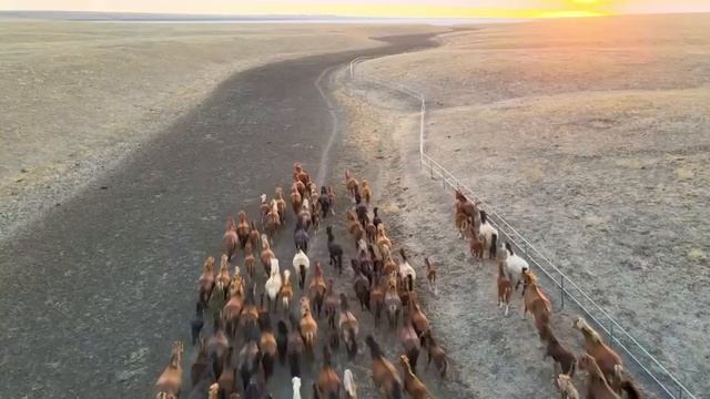 Relajación Curativa Intensa Anti Depresión, Estrés y Ansiedad, Energía Positiva | Sueño Profundo #2 смотреть онлайн