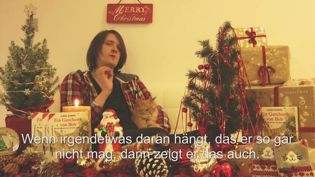 Im Weihnachts-Interview: James Bowen mit Bob смотреть онлайн