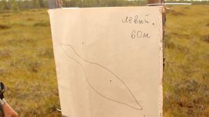 Дальнобойные дробовые патроны 60-90 м. Миф или реальность. Тест