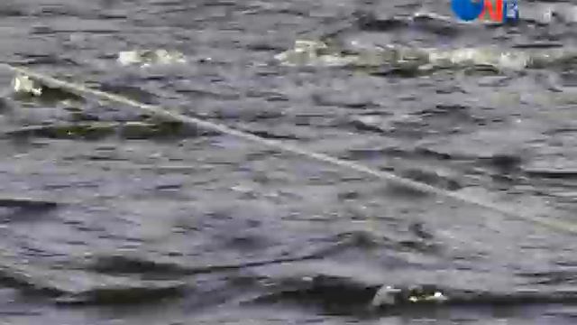 ОлТВ 2014 08 16 mp4 смотреть онлайн