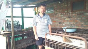 Чем кормить нутрий. Нутрии. Безотходное содержание нутрий .