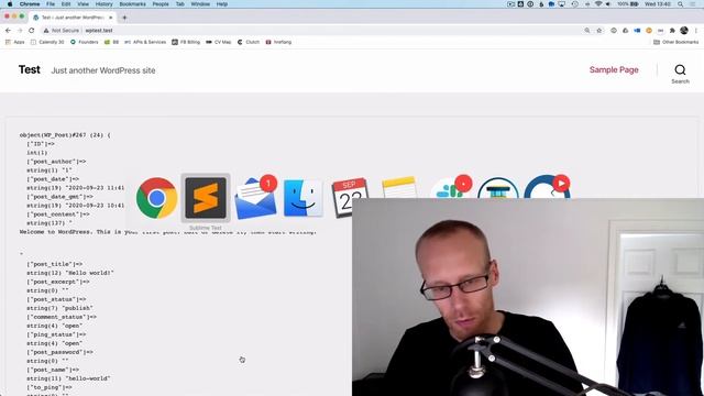 2 simple debugging tips for WordPress developers смотреть онлайн
