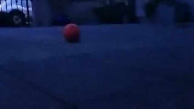 Benjie thinks he is dancing! смотреть онлайн