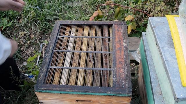 Разделительные решетки смотреть онлайн