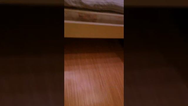 призраки дома у подруги смотреть онлайн