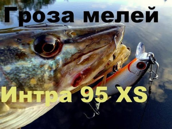 Воблер обязателен для мелей. Обзор воблера Kosadaka Intra XS.