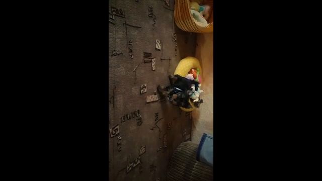 Тоша в первые Шлейке!