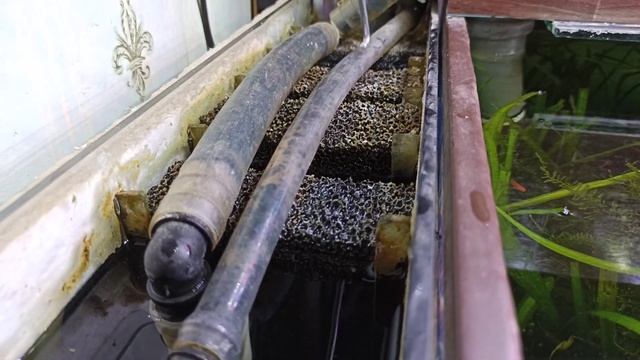 Внешний фильтр для аквариума на 350 литров. смотреть онлайн