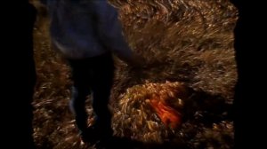 Stigmata - Сентябрь горит