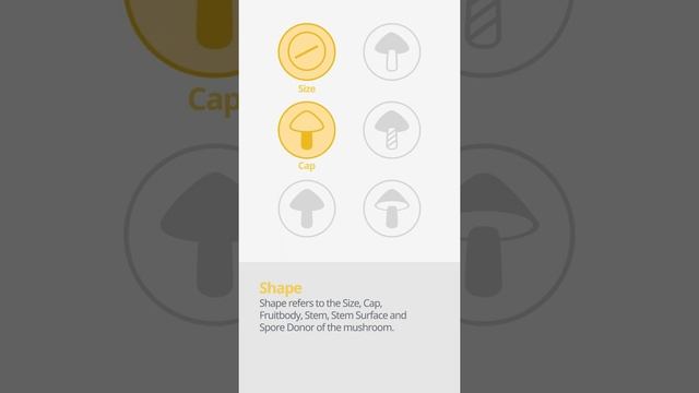 Green brittlegill (Russula aeruginea) | Shape | Practical Short Profile | Shroomers смотреть онлайн