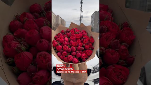 РедПиано #101пион #москва #цветы #россия #101роза #букет #роза смотреть онлайн
