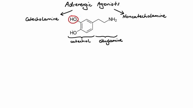 Pharmacology - ADRENERGIC RECEPTORS & AGONISTS (MADE EASY).mp4 смотреть онлайн