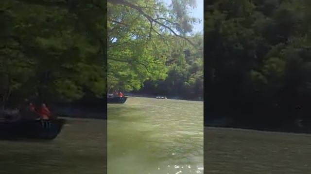 Кипарисовая роща на озере Сукко . смотреть онлайн