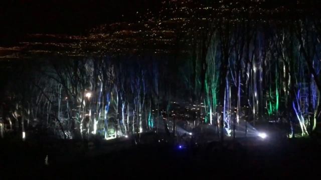 Сказочный лес. Оформление парковой зоны световым, лазерным и проекционным оборудованием. смотреть онлайн