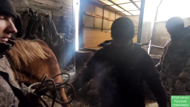 Жеребчик Кубок поехал Оз.Балхаш смотреть онлайн