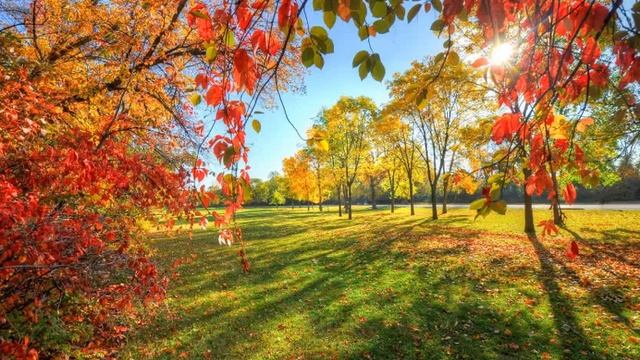 Цель, меняющая жизнь смотреть онлайн