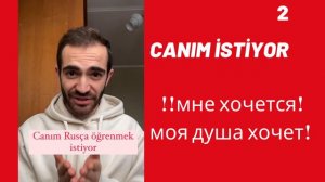 Турецкий Язык с носителем