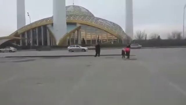УВАЖЕНИЕ К СТАРШИМ НА ДОРОГАХ ГДЕ РУЛЯТ ЧЕЧЕНЦЫ ВЕЗДЕ И ВСЯ НА ВСЕМ КАВКАЗЕ И ВСЕЙ СТРАНЫ РОССИЙСКО смотреть онлайн