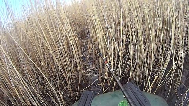РЫБКА активно питается смотреть онлайн