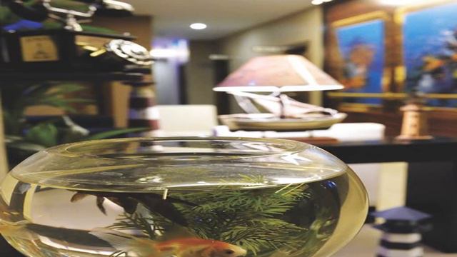 Susuzlu Hotel - Izmir - Turkey смотреть онлайн