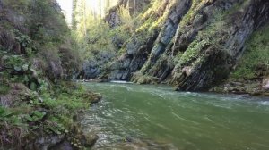 Рыбалка на хариуса. Рыбалка на горных реках Сибири.