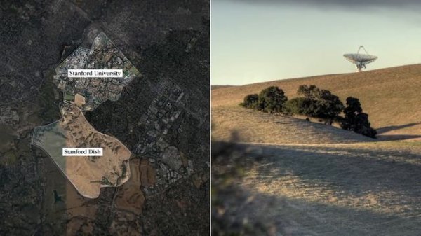 The Genius Design of Apple Park