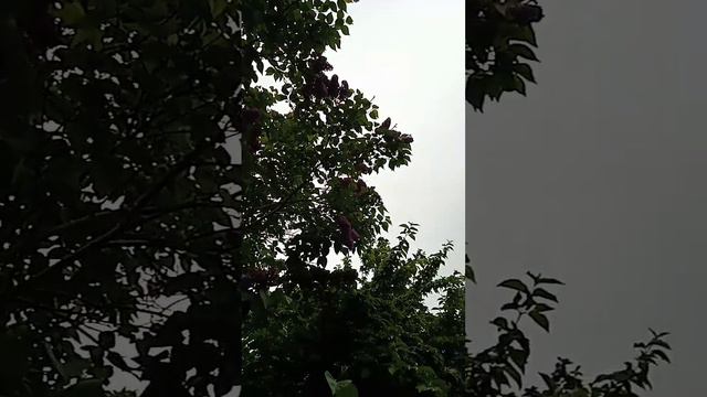 Погода сейчас в Анапе смотреть онлайн