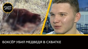 Тюменский боксёр убил дикого медведя, напавшего на него в лесу