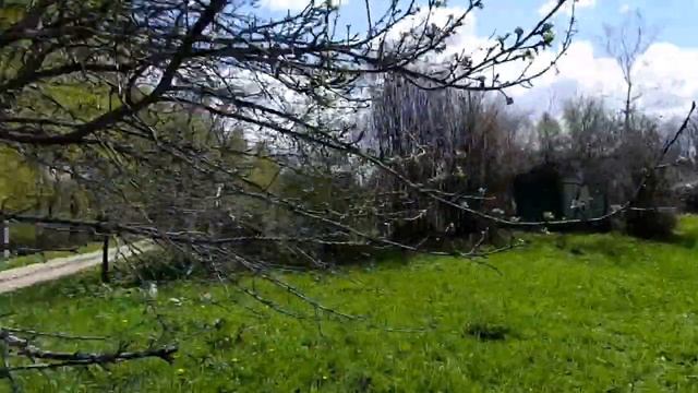Продаётся дача 120 км от Москвы по М2. Тульская область Заокский район. СНТ Берёзка. смотреть онлайн