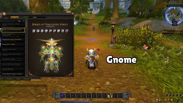 How To Get Burden Of Unrelenting Justice WARDEN TRANSMOG WoW Dragonflight | Trading Post