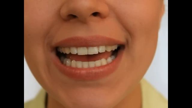 Артикуляционная Гимнастика - Лягушка и Слон смотреть онлайн