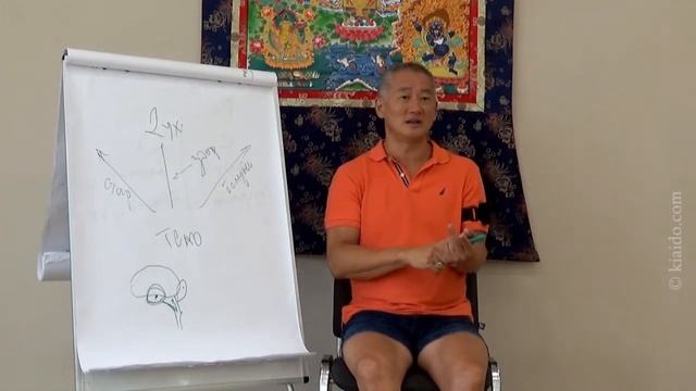 Архетипы личности: шесть основных архетипов и их связь с жизненно важными органами смотреть онлайн