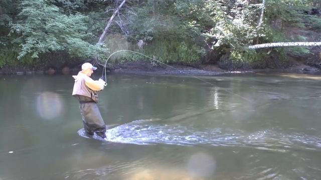 С нахлыстом на реке. Дуэль стримера с жуком.))). смотреть онлайн